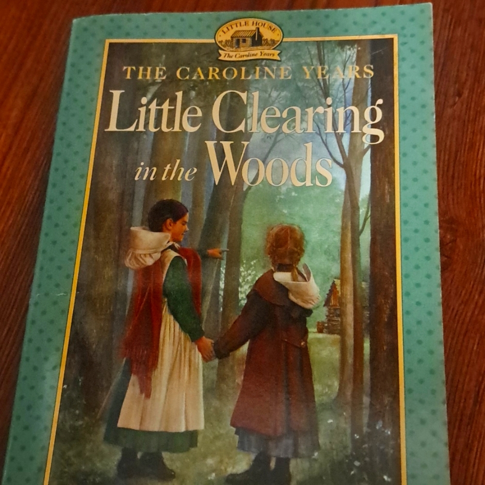 Little clearing in the woods